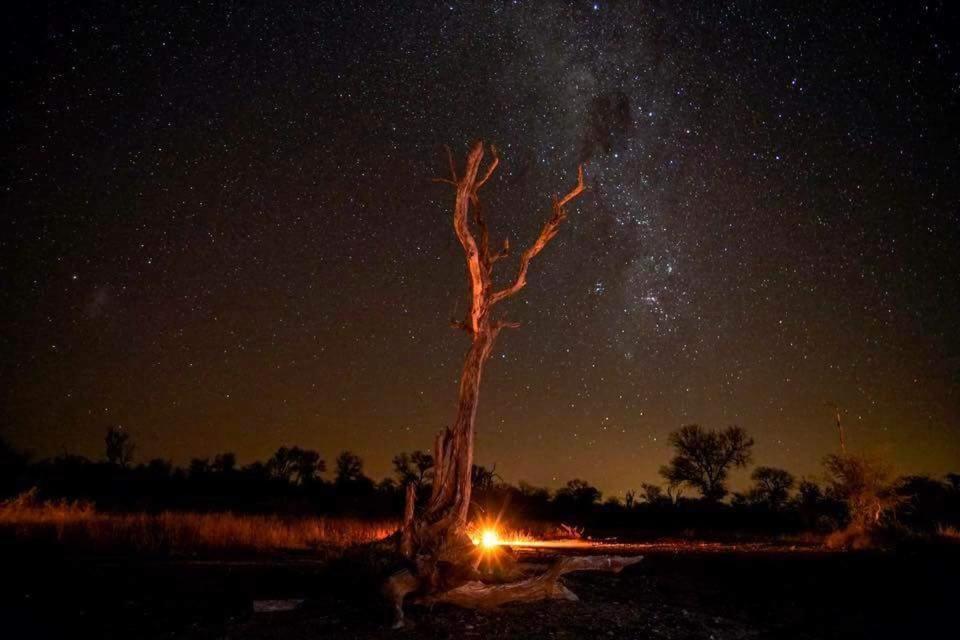 Mariyan Safari Džaisalmér Exteriér fotografie
